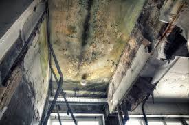 Best Crawl Space Mold Remediation  in Bend, OR